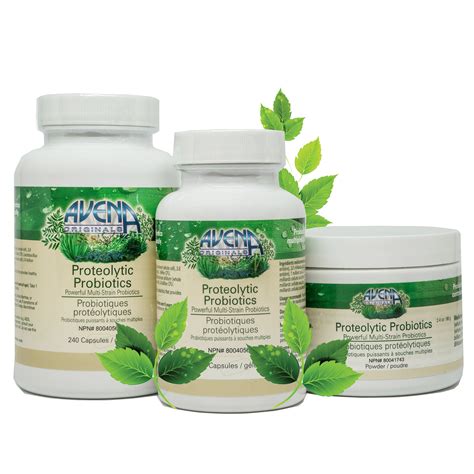 PROTEOLYTIC PROBIOTICS | Avena Originals