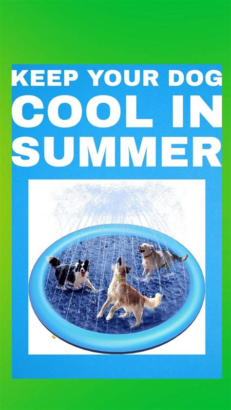 Keep Your Dog Cool In Summer Video Dog House Dogs Dog Lovers