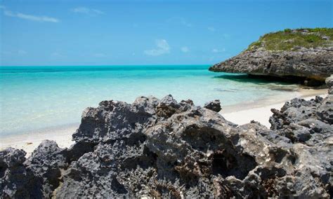 11 Best Turks And Caicos Snorkeling Tours 2024