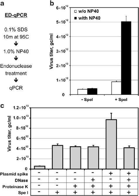 Systemic Errors In Quantitative Polymerase Chain Reaction Titration Of