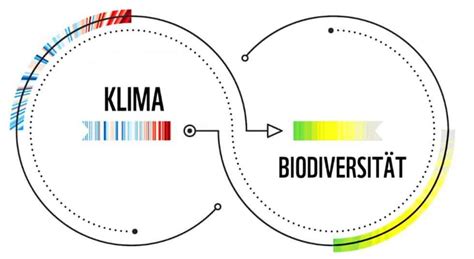 Biodiversität Wirtschaft Braucht Biologische Vielfalt Wwf Österreich