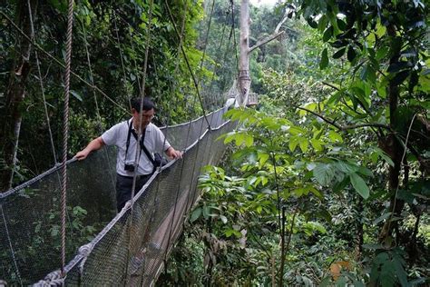 2023 Culvert View Poring Hot Spring And Canopy Walk Anddairy Farm Fish Spa