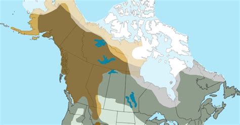Geographic Distribution Bears In North America