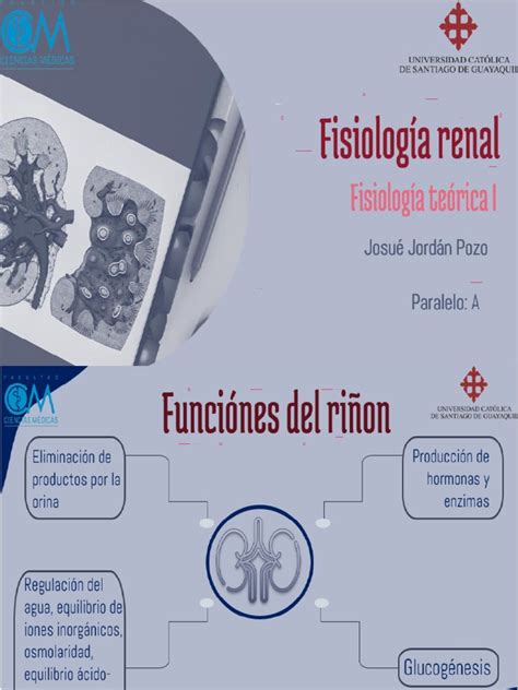 Fisiologia Renal Pdf