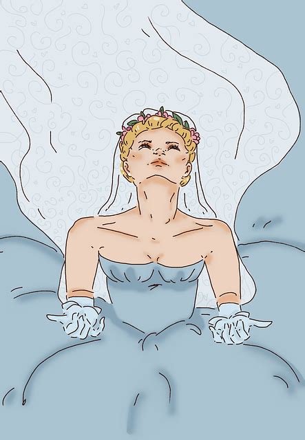 Mariée Blonde Femme Image gratuite sur Pixabay Pixabay