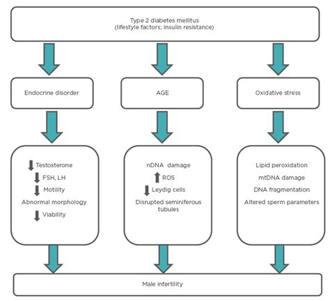 Reproductive Dysfunctions In Males With Type 2 Diabetes Mellitus An