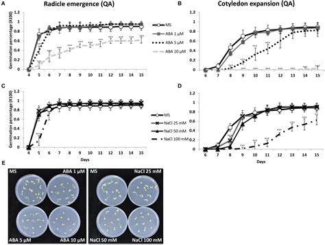 Frontiers Salinity And ABA Seed Responses In Pepper Expression And