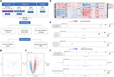 Frontiers Integrative Analysis Of Rna Sequencing And Microarray For