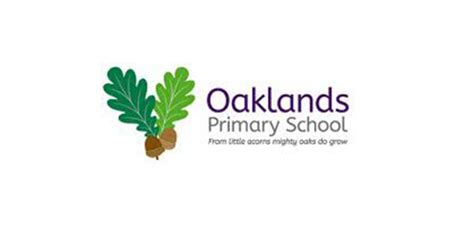 Oaklands Primary School Groundwork