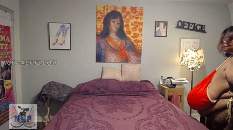 NORMA STITZ PRODUCTIONS NORMA STITZ YEAR ROUND BIKINI MP4 FORMAT