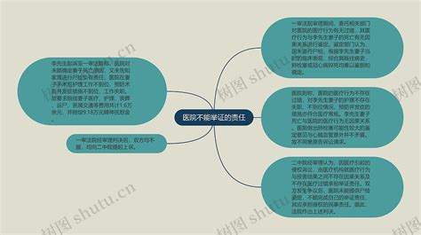 医院不能举证的责任思维导图编号p7071372 Treemind树图