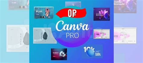 Canva Pro - Официальная Лицензия купить в Москве с доставкой ...