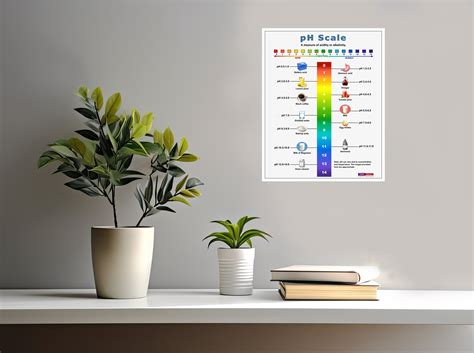 Acids, Bases and Salts and Ph Scale Set, Science Chemistry Poster ...