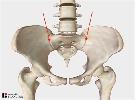 Understanding Sacroiliac Joint Dysfunction And Strategies For Relief