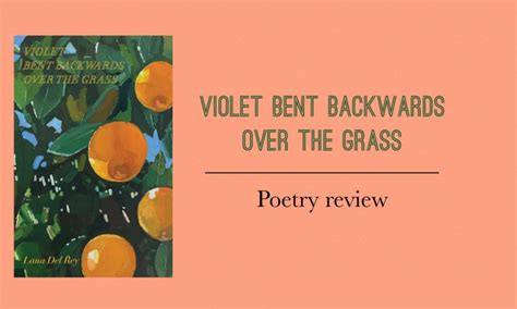 Violet Bent Backwards Over the Grass – Review – Lost in the Story