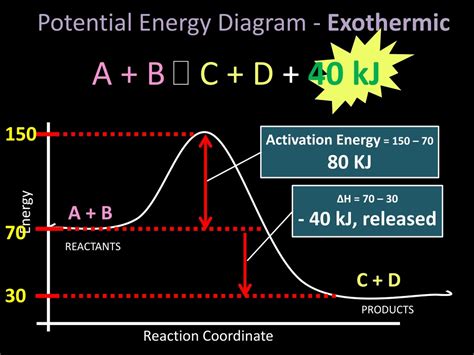 Potential Energy Diagram For Exothermic Reaction 8