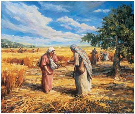 Kids Bible Stories: Kid's Bible Story of Ruth, the Gleaner