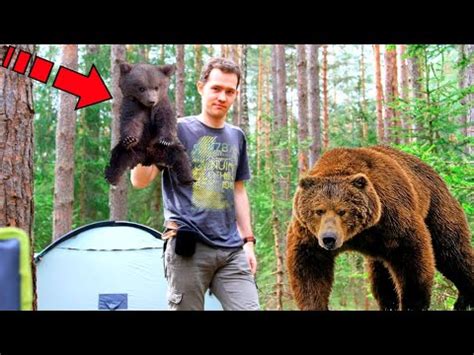Мужчина спас медвежонка. Вы не поверите, как медведица его ...