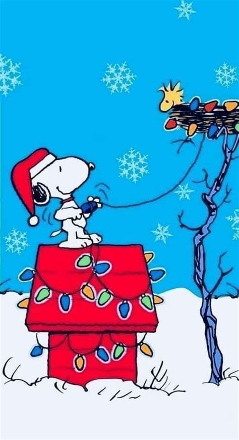 Pin By Conchita San Juan G On Snoopygrams Snoopy Christmas Snoopy