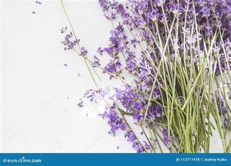 The Dry Lavender Stock Photo Image Of Cosmetics Floral 113717478