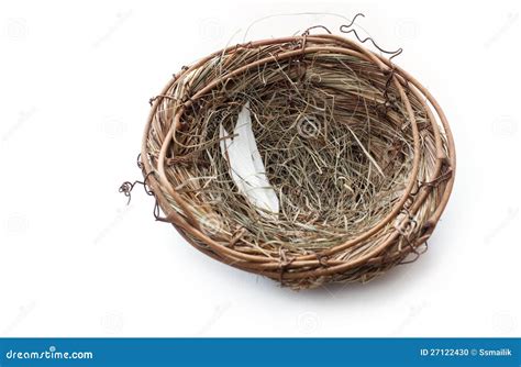 Empty Nest Stock Photo Image Of Closeup Horizontal 27122430