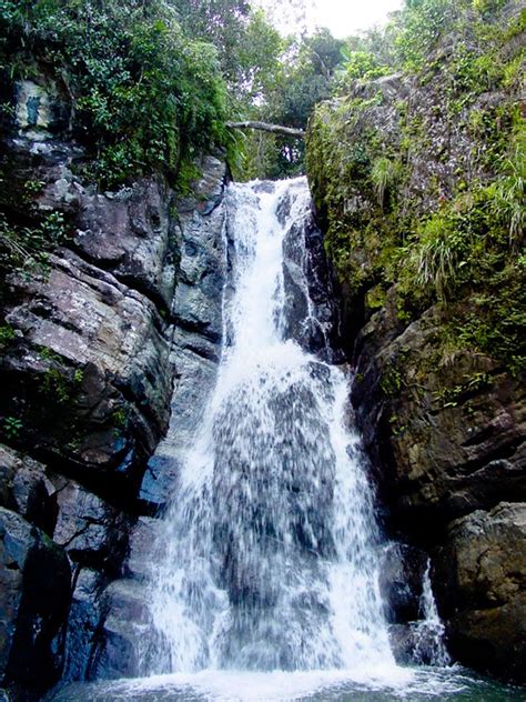 Cascada La Mina En El Yunque Puerto Rico Island Puerto Rico History