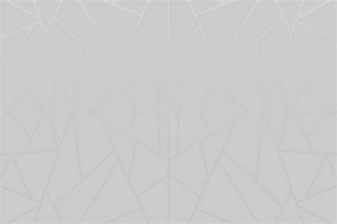 Light Gray Background Pattern