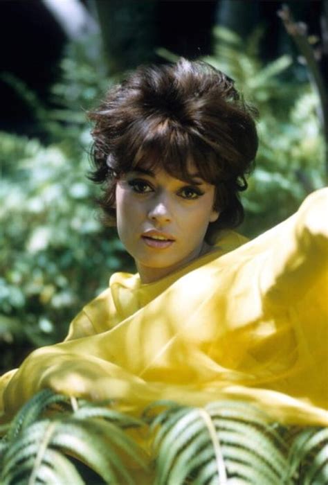 Hot Sexy Fran Jeffries Bikini Pics