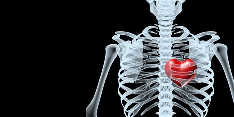 Our New Catalog Is Available (1500 × 750 px) (2000 × 425 px)-6 ...