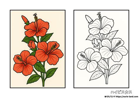 塗り絵見本付き｜子供〜高齢者向け無料ダウンロード&プリント