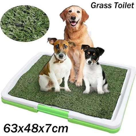 Tempsa Tapis De Toilette Tapis D Herbe Pour Animaux De Compagnie Chien