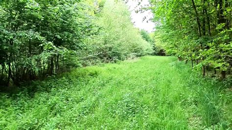 Very Harsh Punishment In The Forest Public Nudity Porn Feat Bouncy Tits Action By Faphouse