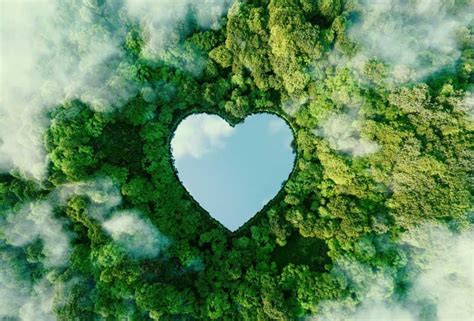 What Is Conscious Living Conscious Earth