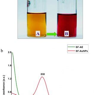 a Nanoparticle tracking analysis graph Particle Size/Concentration of ...