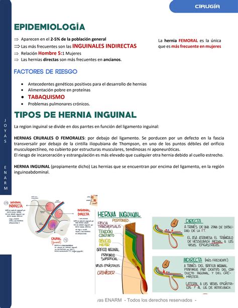 Solution Hernias Inguinales Studypool