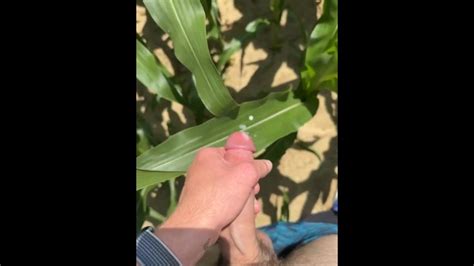 Got Horny In A Corn Field Xxx Mobile Porno Videos Movies IPornTV Net