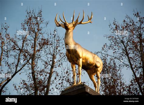 Goldenen Hirsch Skulptur Im Herbst Sonne Volkspark Sch Neberg Berlin