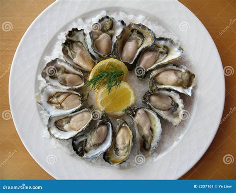 Oyster Platter Stock Image - Image: 2337161