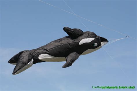 Orka