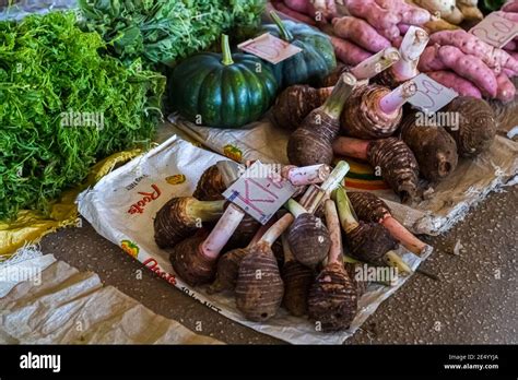 Stadt Buka Fotos Und Bildmaterial In Hoher Aufl Sung Alamy