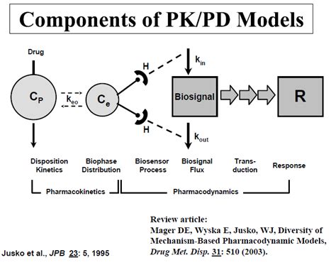 List Of Pk Pd Model Types And Descriptions Pharmacoengineering