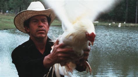 Sunset Gun Warren Oates An American Original
