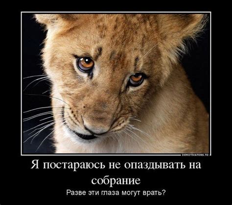 JW юмор (170) | Христианский юмор, Юмор, Библия