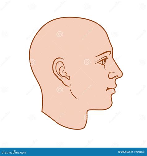 Unisex Human Head In Side View Stock Vector Illustration Of Gender