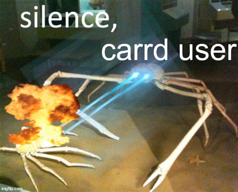 Silence Carrd User Read Notes Shut The Fuck Up Liberal Silence Brand Know Your Meme
