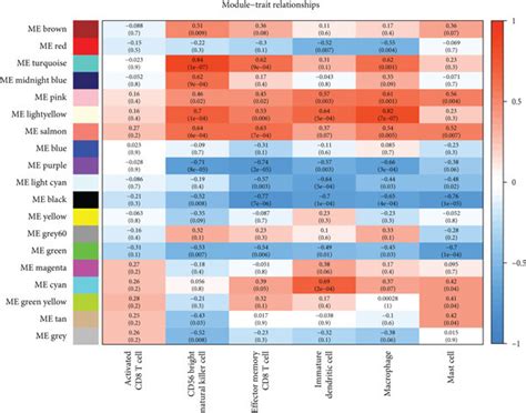 Ssgsea Enrichment And Wgcna Result Overview A Box Plots Of