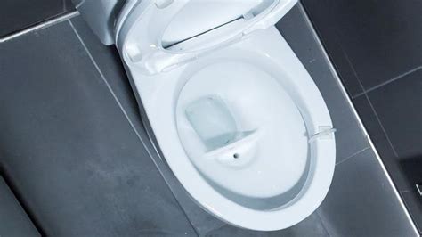 Urine Diverting Toilets Reduce Virus Particle Fallout Technology Networks