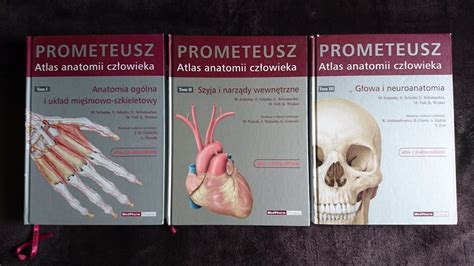 Prometeusz Atlas Anatomii Cz Owieka Tom I Ii Iii