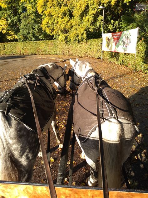 Hestevogn Bakken | Klampenborg