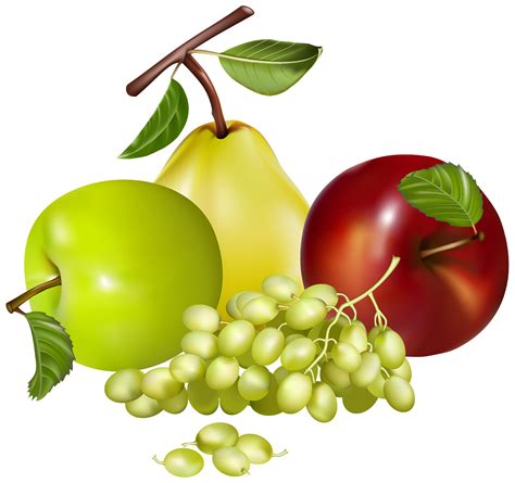 fruit background clipart  terry summers blog